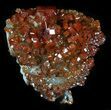 Shiny Red Vanadinite Crystals - Morocco #32331-2